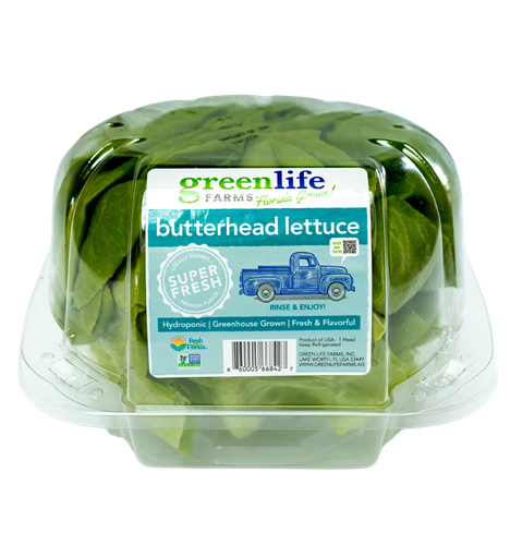 Green Life Farms Butterhead Lettuce